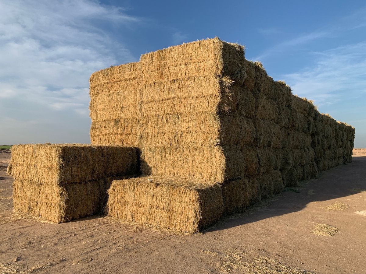 wheat straw bales