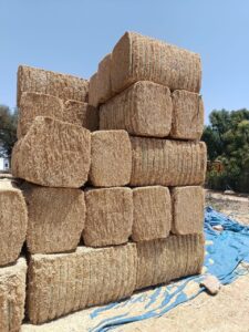 wheat straw bales